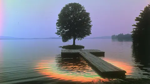 湖岛的树 · 横幅 / Small island supports a single broad tree · Landscape