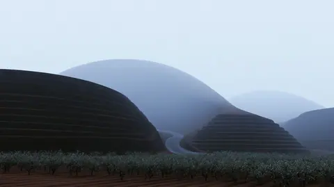 缓坡的果园 · 横幅 / Small orchard follows a gently terraced hillside · Landscape