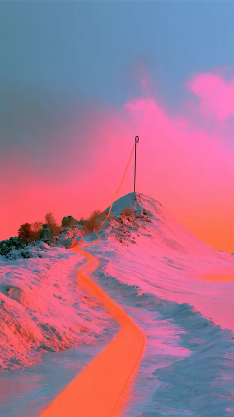 A Sewing Needle Above the Dunes