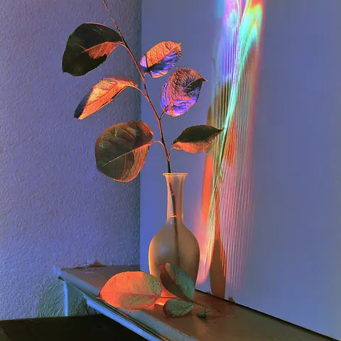 玻璃瓶的重心 · 方幅 / Narrow-necked bottle contains one branching stem · Square