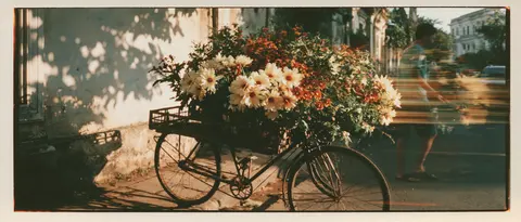 金灰重影的街边花推车 / One flower cart parked beside an old wall, its central handle and nearest · Panoramic